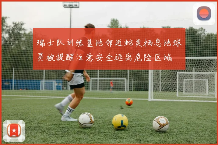 瑞士队训练基地邻近蛇类栖息地球员被提醒注意安全远离危险区域