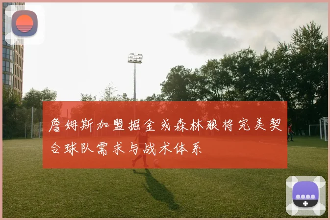 詹姆斯加盟掘金或森林狼将完美契合球队需求与战术体系