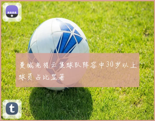 曼城老将云集球队阵容中30岁以上球员占比显著