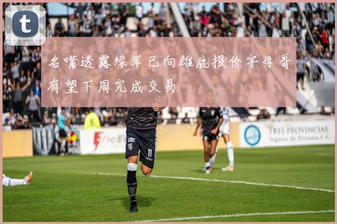 名嘴透露绿军已向雄鹿报价字母哥有望下周完成交易